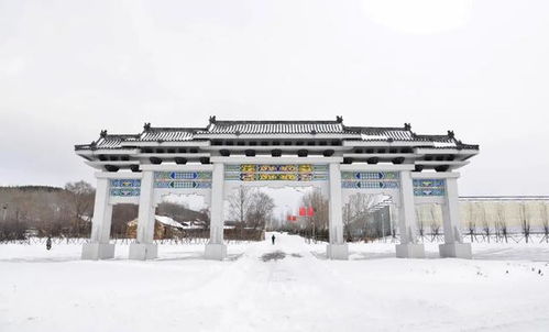 暴雪过后,双鸭山市四方台紫云岭景区美不胜收
