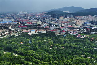 图片双鸭山 双鸭山市人民政府